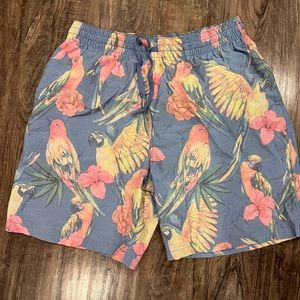 Mens chubbies